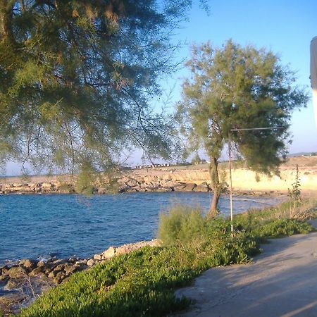 Theresa Hotel At Karpaz Peninsula Agia Trias エクステリア 写真
