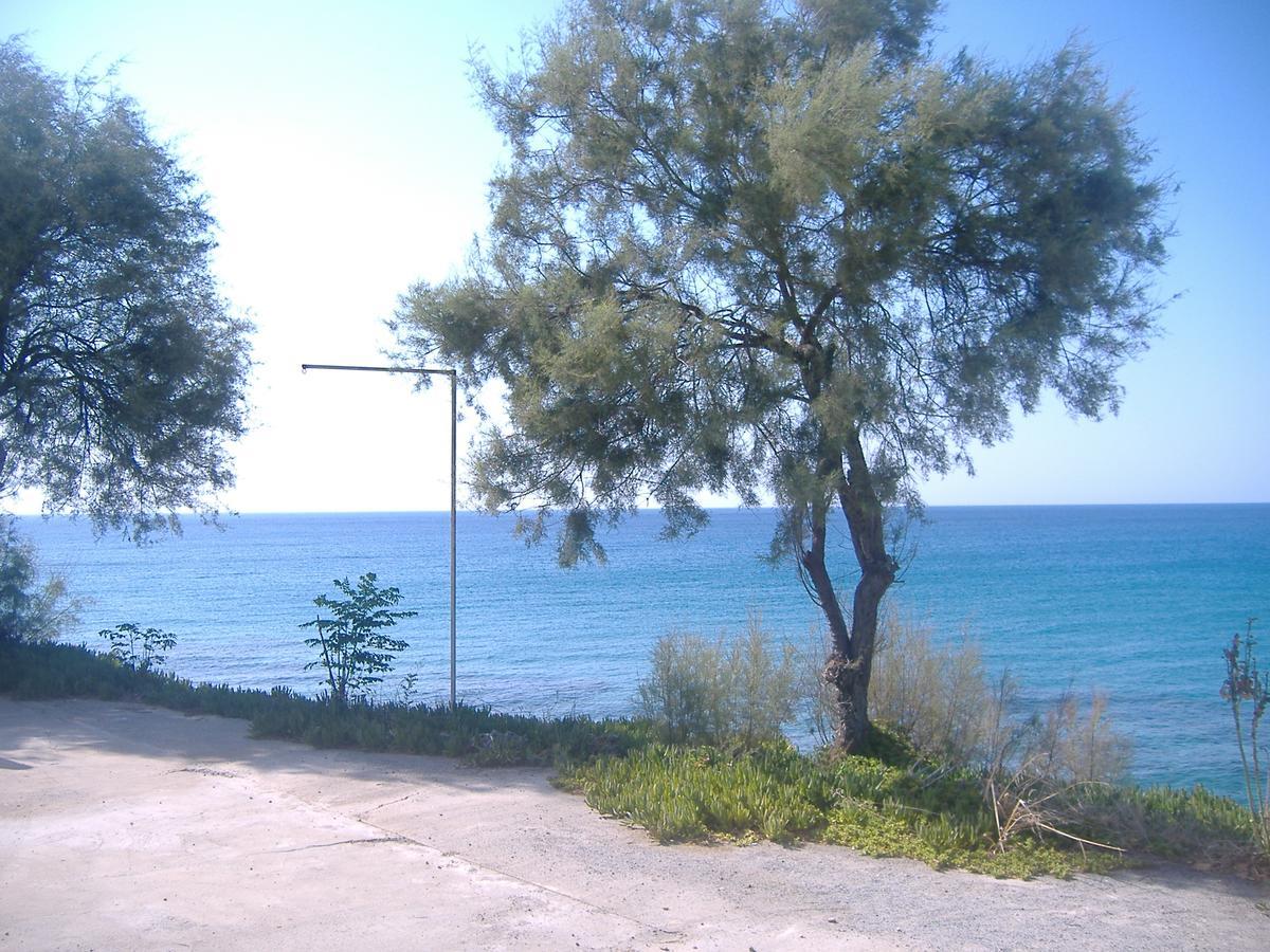 Theresa Hotel At Karpaz Peninsula Agia Trias エクステリア 写真